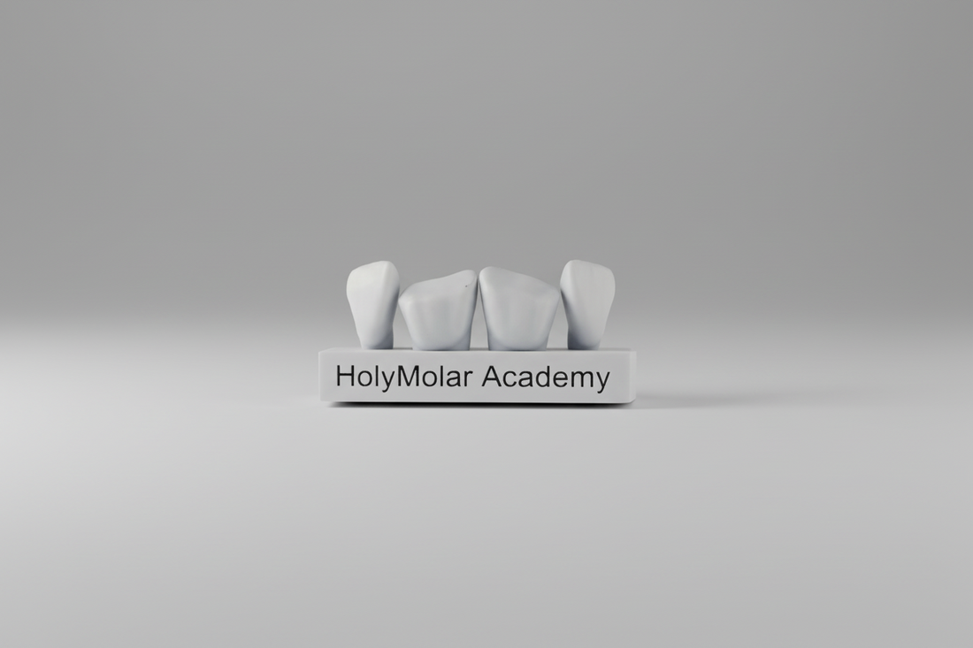 Elevating Your Dental Skills with Restorative Teeth Models