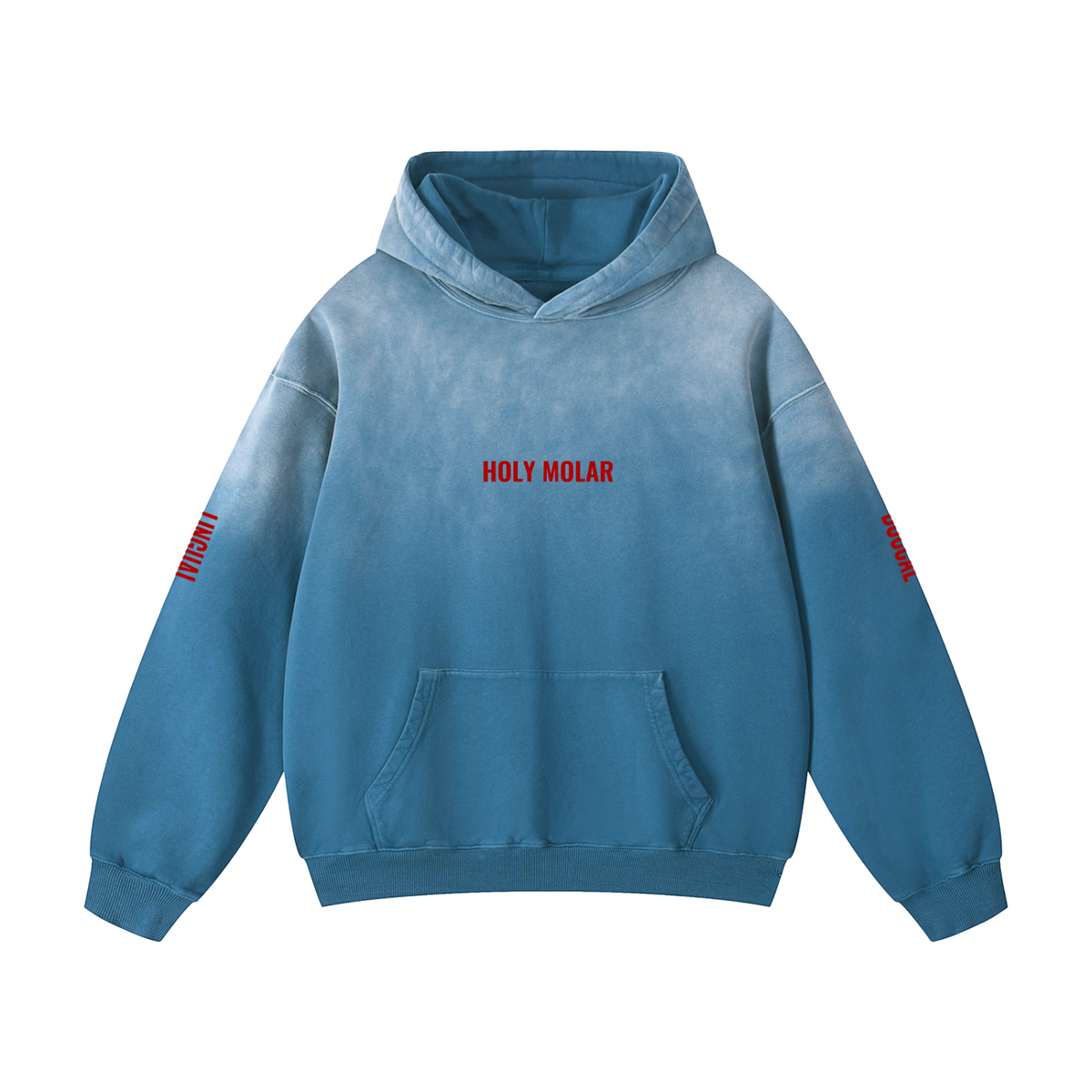 Holy Molar Buccal/Lingual Heavyweight Oversized Hoodie