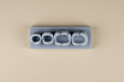 Dental Composite Training Model