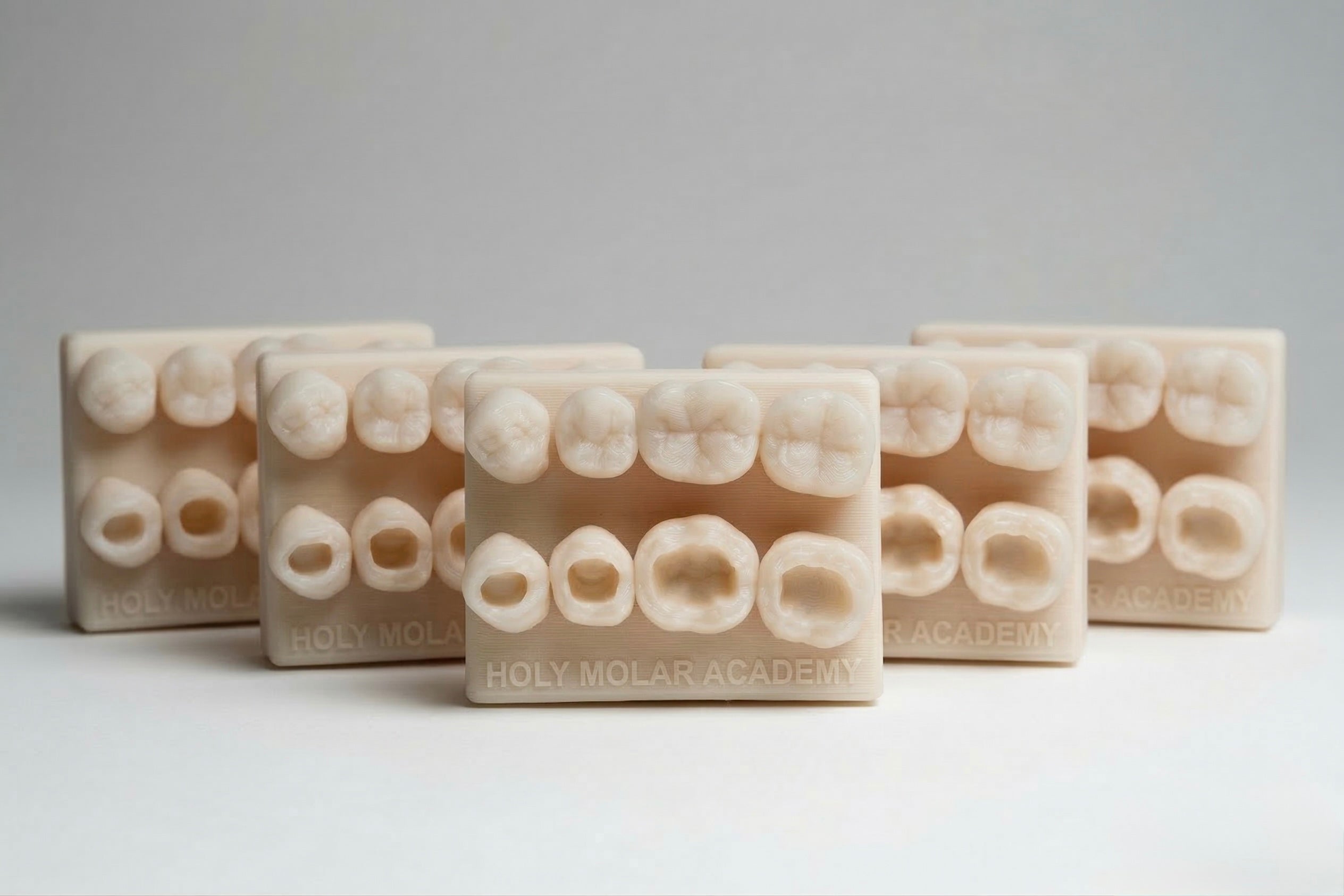 Dental Composite Training Models