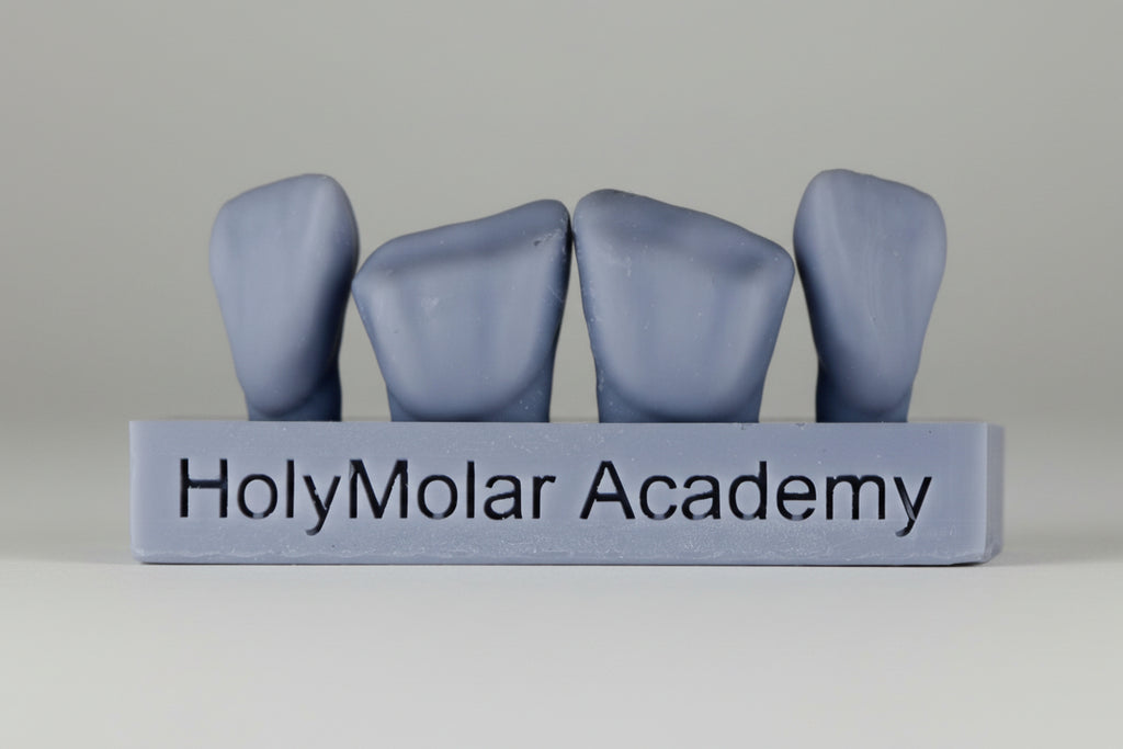 Dental Composite Training Model
