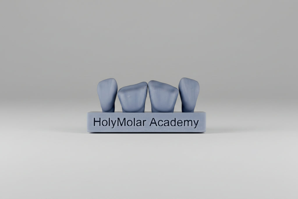 Dental Composite Training Model