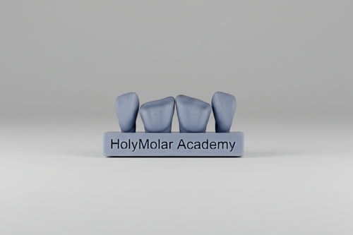 Dental Composite Training Model