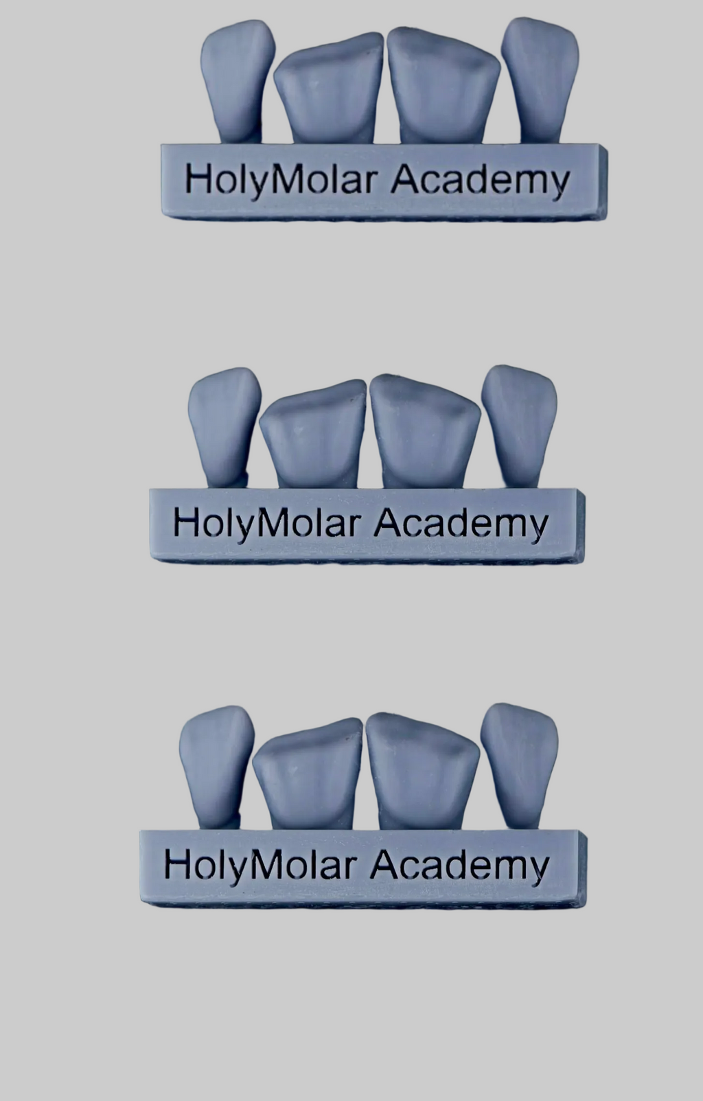Three Sets Of Dental Composite Training Models
