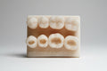 Dental Composite Training Model
