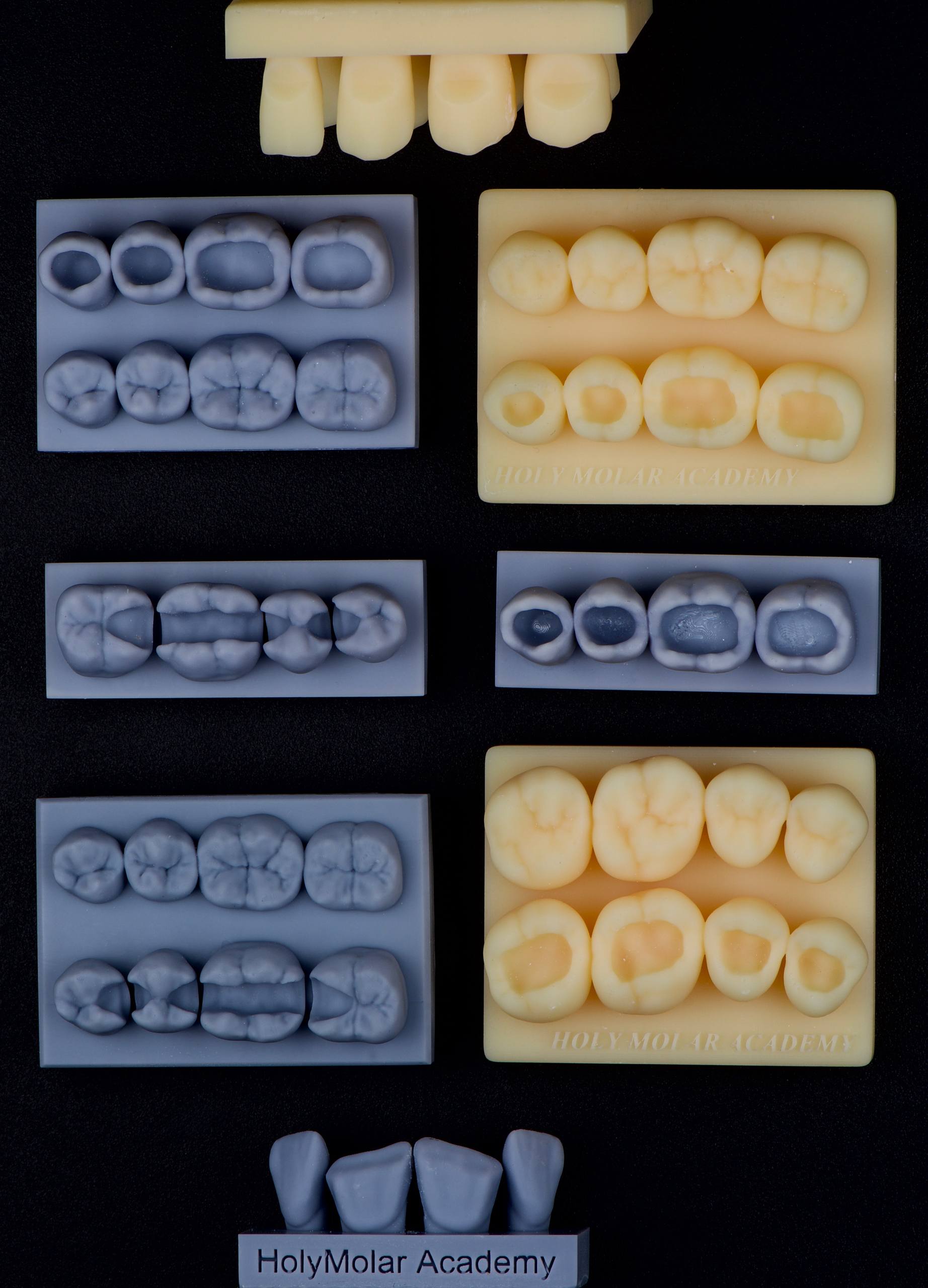 Restoration Practice Model Set (mixed 8 pcs)
