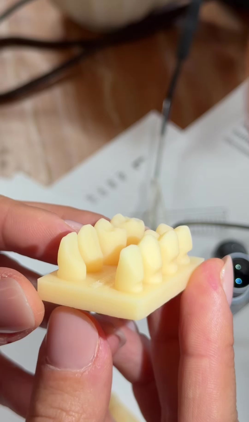 Class V Defect Model Teeth (5pcs)