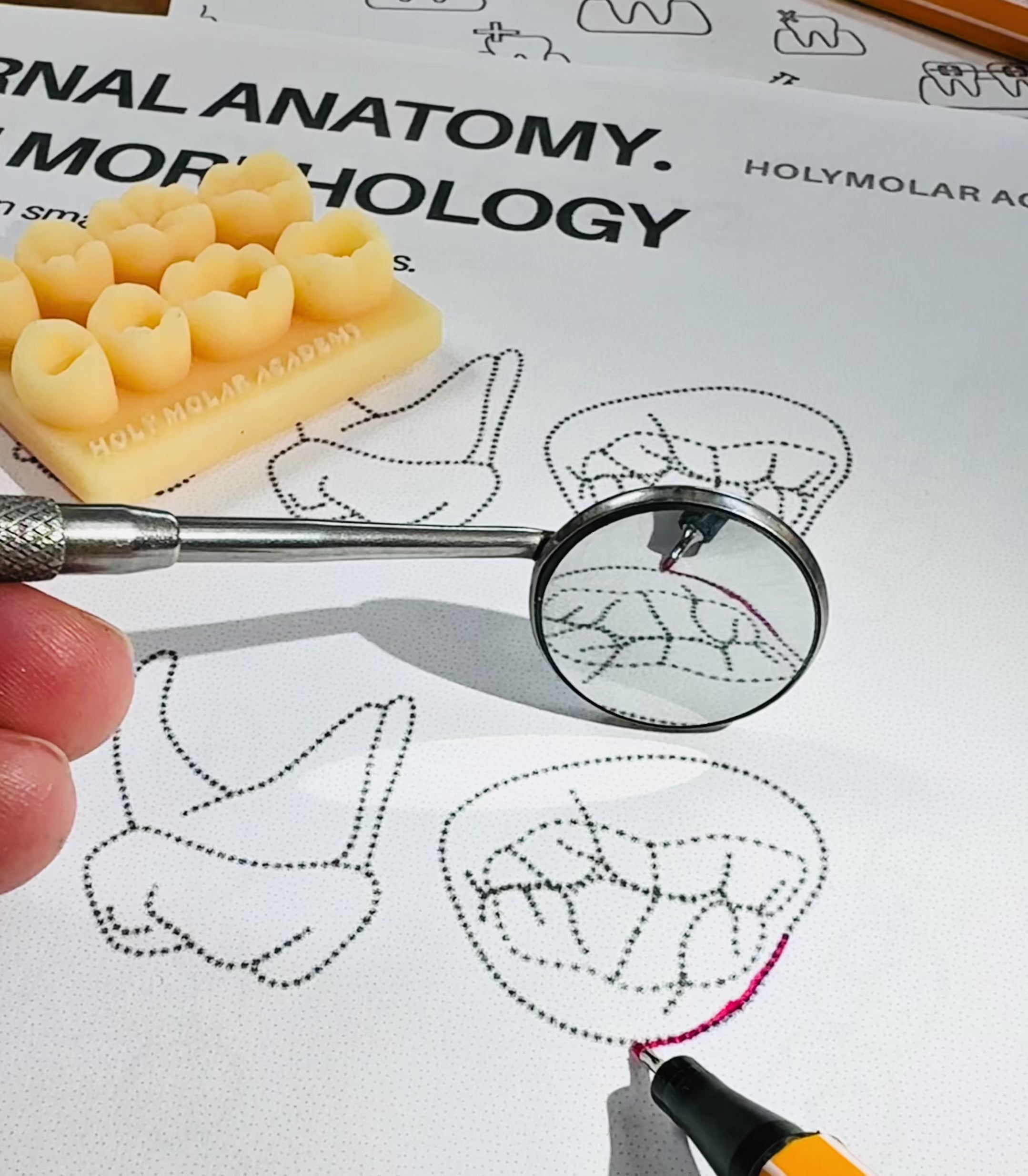 Hands On: Indirect Mirror Vision Practice Book
