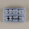 Class II - Mandibular Posterior Model ( 5 pcs )